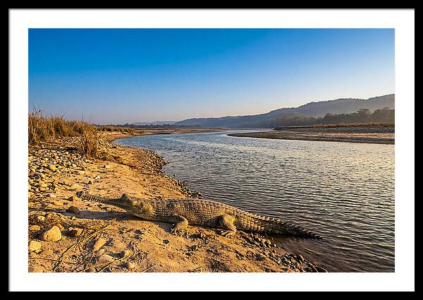 Gharial Art