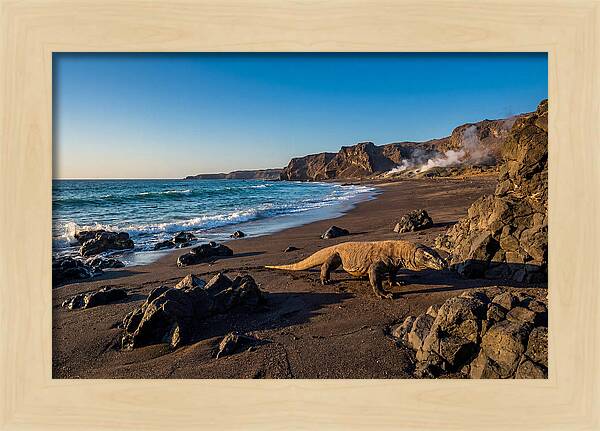 Asian Komodo Dragon By The Shore