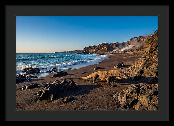 Asian Komodo Dragon By The Shore
