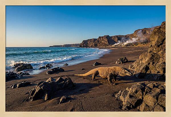 Asian Komodo Dragon By The Shore