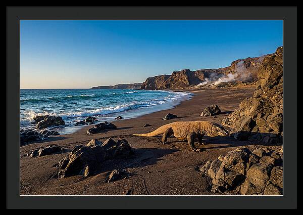 Asian Komodo Dragon By The Shore