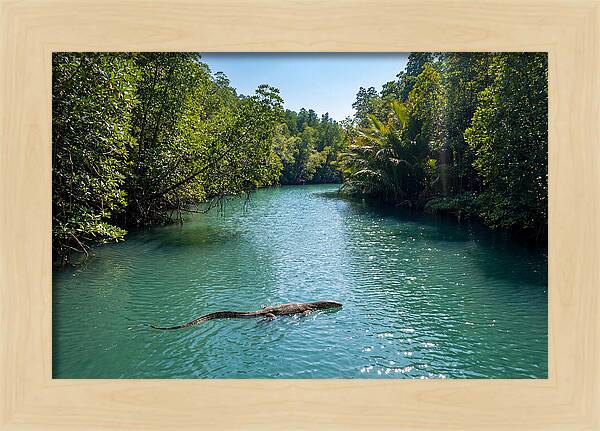 Asian Water Monitor In Tranquil Waters