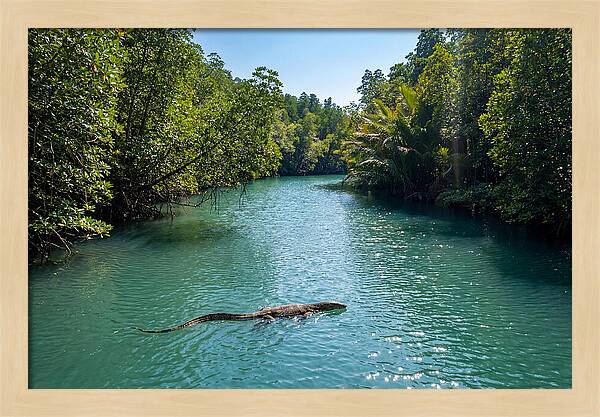 Asian Water Monitor In Tranquil Waters