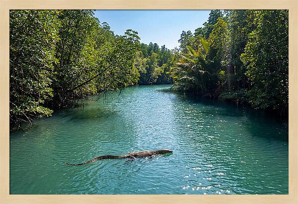 Asian Water Monitor In Tranquil Waters