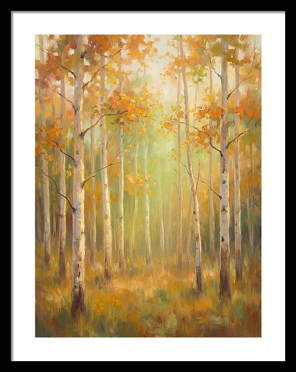 Aspen Grove