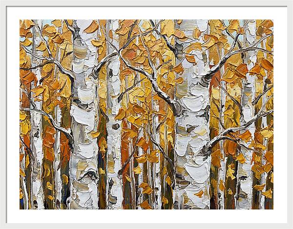 Aspen Grove In Autumn