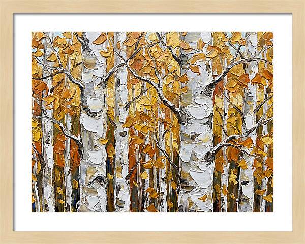 Aspen Grove In Autumn
