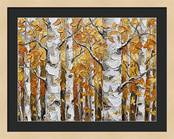 Aspen Grove In Autumn