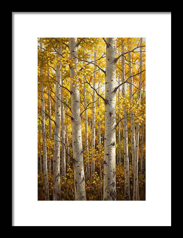 Aspen Grove In Autumn Light