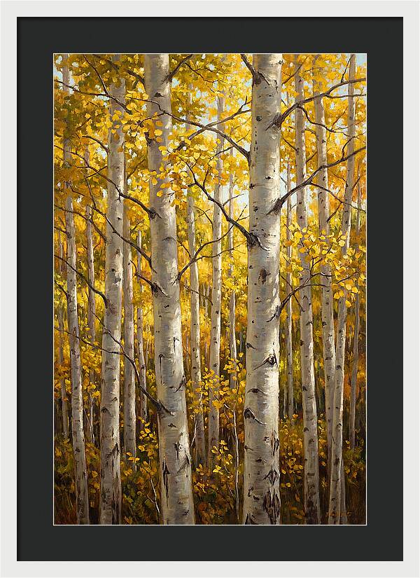 Aspen Grove In Autumn Light
