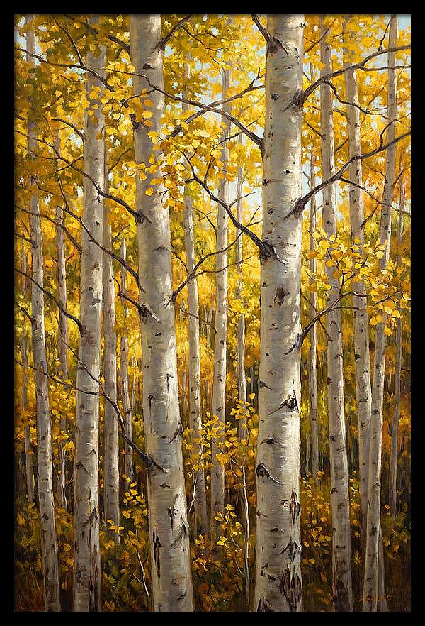 Aspen Grove In Autumn Light