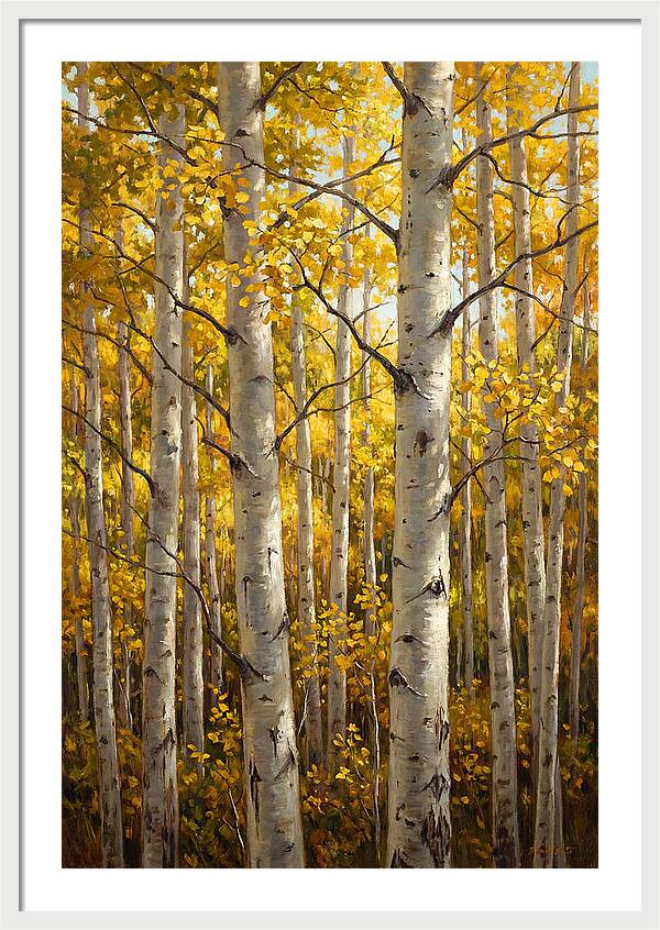 Aspen Grove In Autumn Light