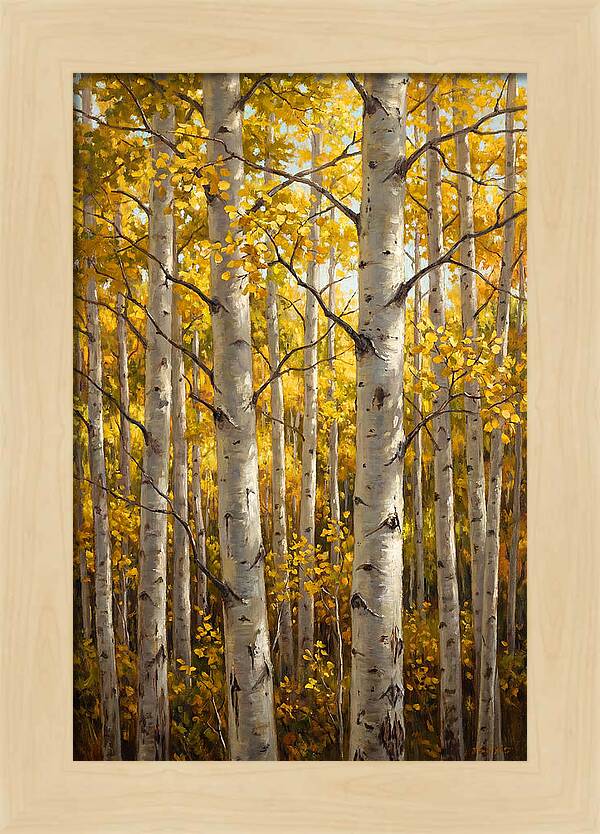 Aspen Grove In Autumn Light