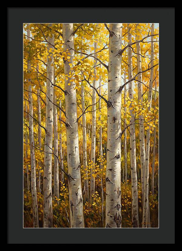 Aspen Grove In Autumn Light