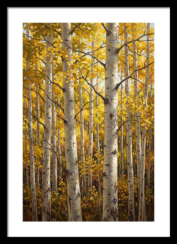 Aspen Grove In Autumn Light
