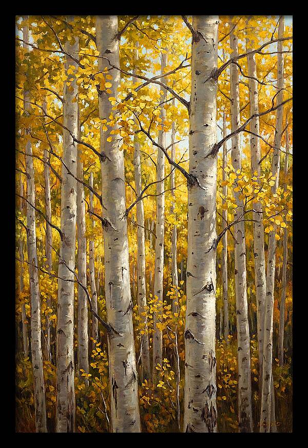 Aspen Grove In Autumn Light
