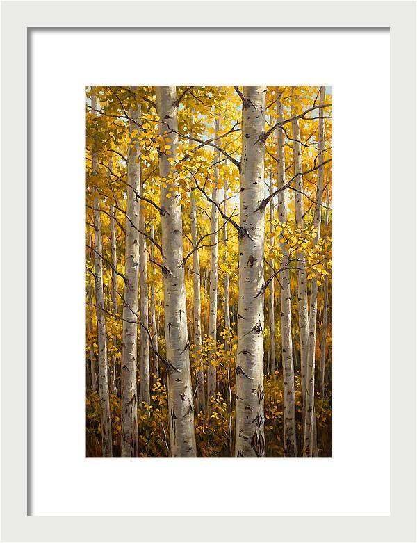 Aspen Grove In Autumn Light