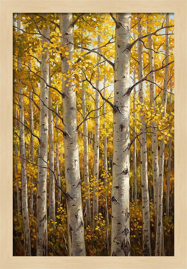Aspen Grove In Autumn Light