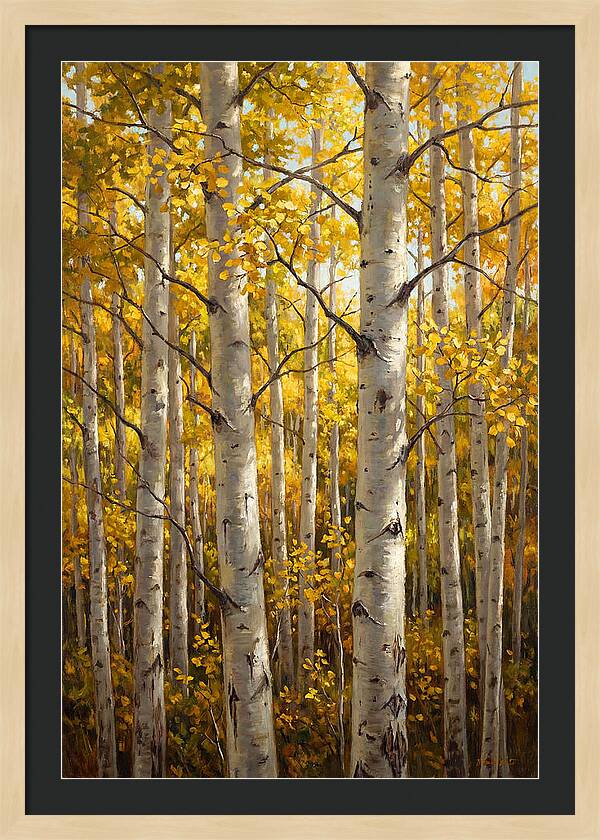 Aspen Grove In Autumn Light