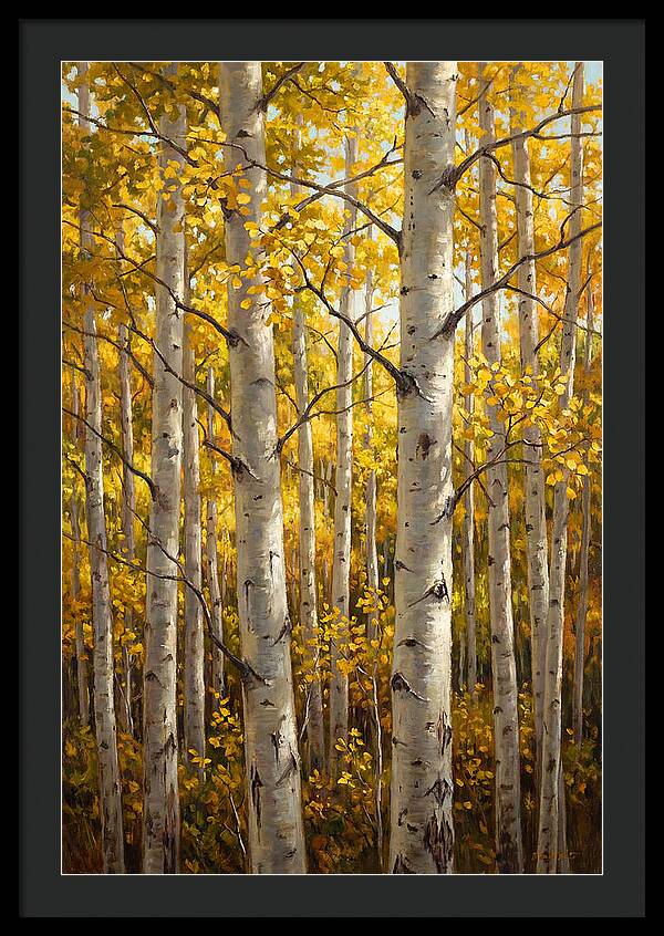 Aspen Grove In Autumn Light