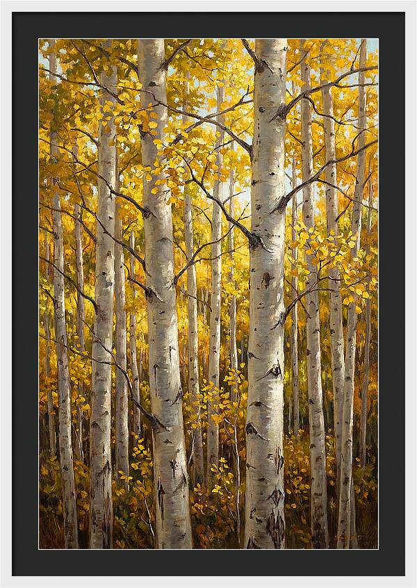 Aspen Grove In Autumn Light