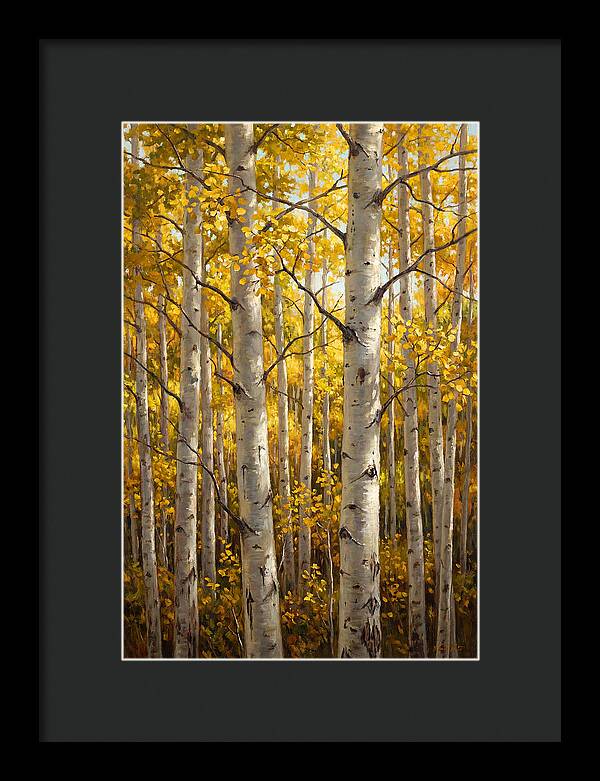 Aspen Grove In Autumn Light