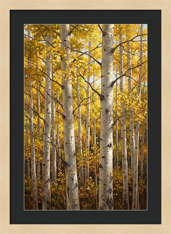 Aspen Grove In Autumn Light
