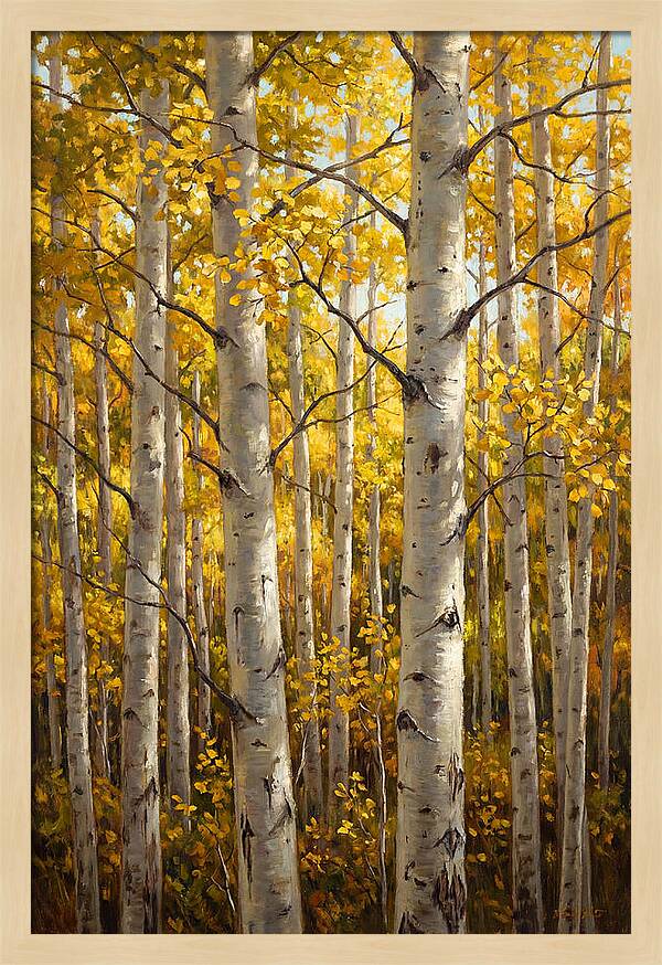 Aspen Grove In Autumn Light