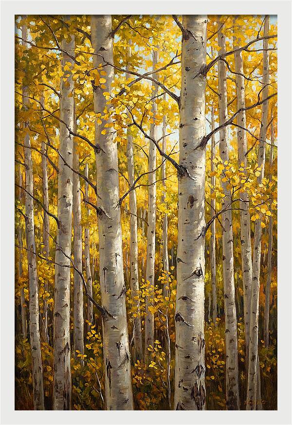 Aspen Grove In Autumn Light