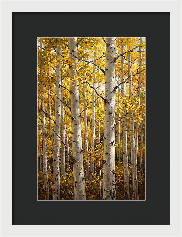 Aspen Grove In Autumn Light