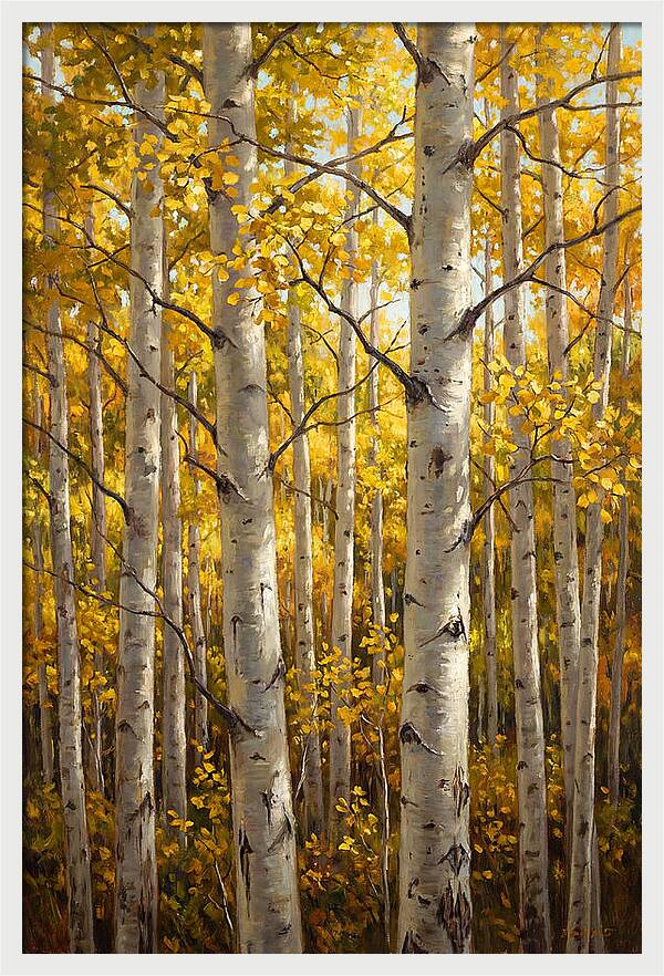 Aspen Grove In Autumn Light