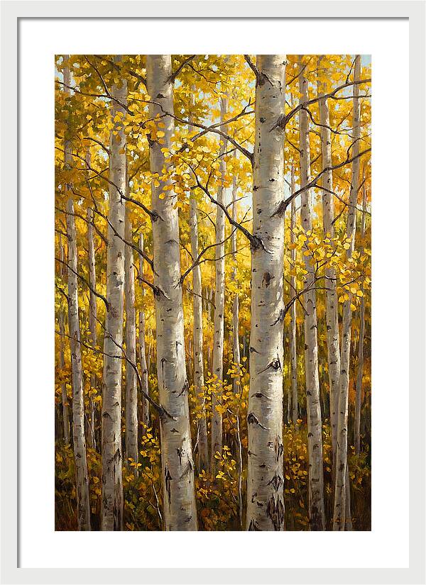 Aspen Grove In Autumn Light