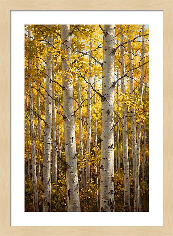 Aspen Grove In Autumn Light
