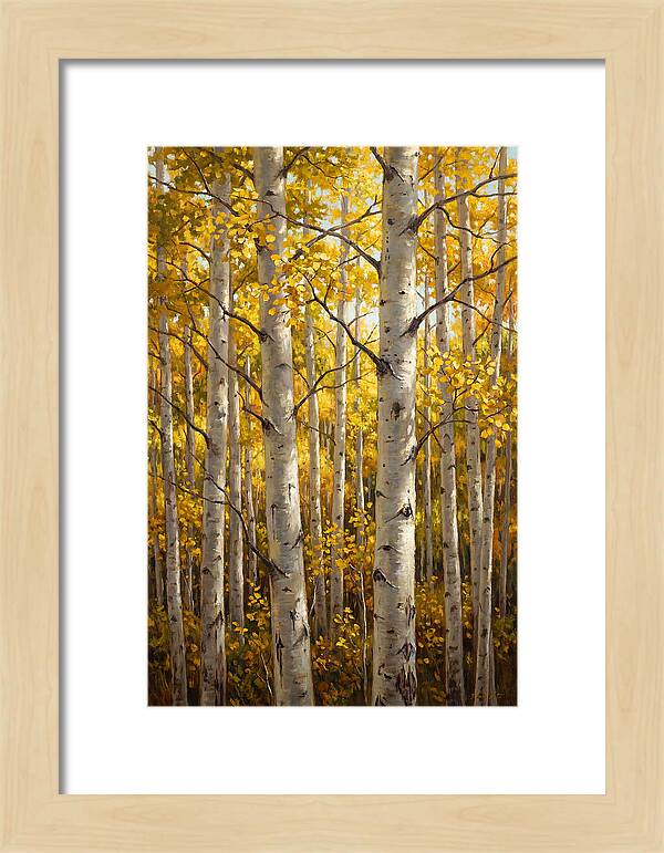 Aspen Grove In Autumn Light
