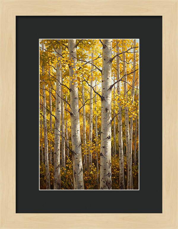 Aspen Grove In Autumn Light