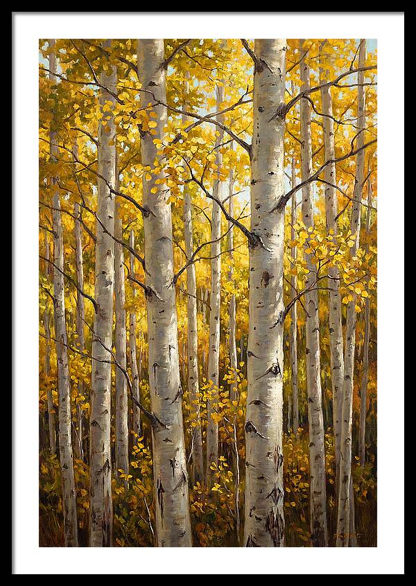 Aspen Grove In Autumn Light