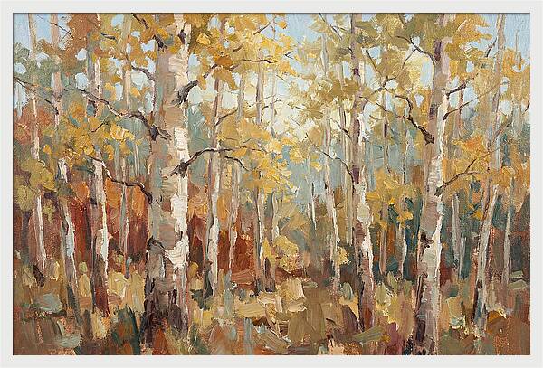 Aspen Grove Serenity