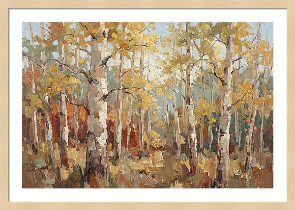 Aspen Grove Serenity