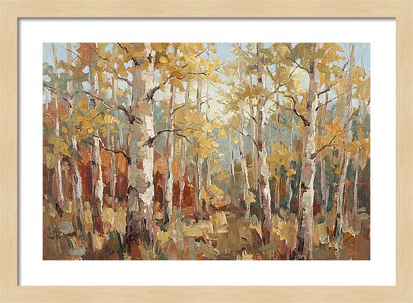 Aspen Grove Serenity