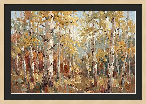Aspen Grove Serenity