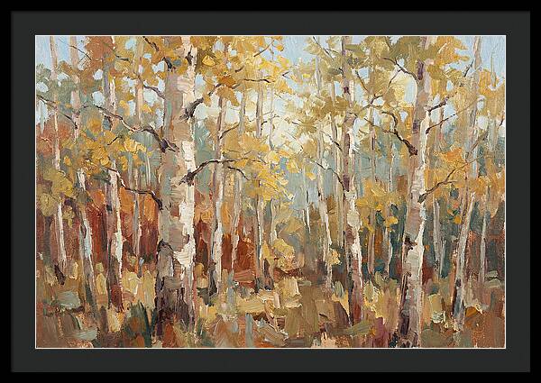 Aspen Grove Serenity