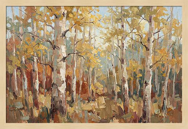 Aspen Grove Serenity