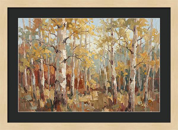 Aspen Grove Serenity