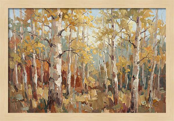 Aspen Grove Serenity