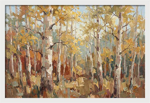 Aspen Grove Serenity