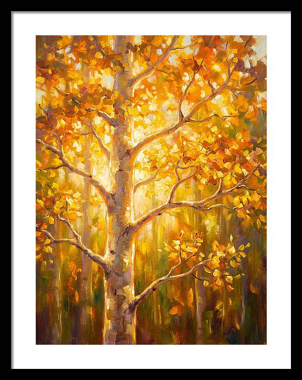 Aspen Tree