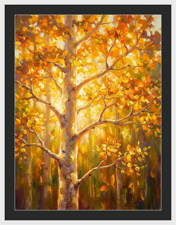 Aspen Tree
