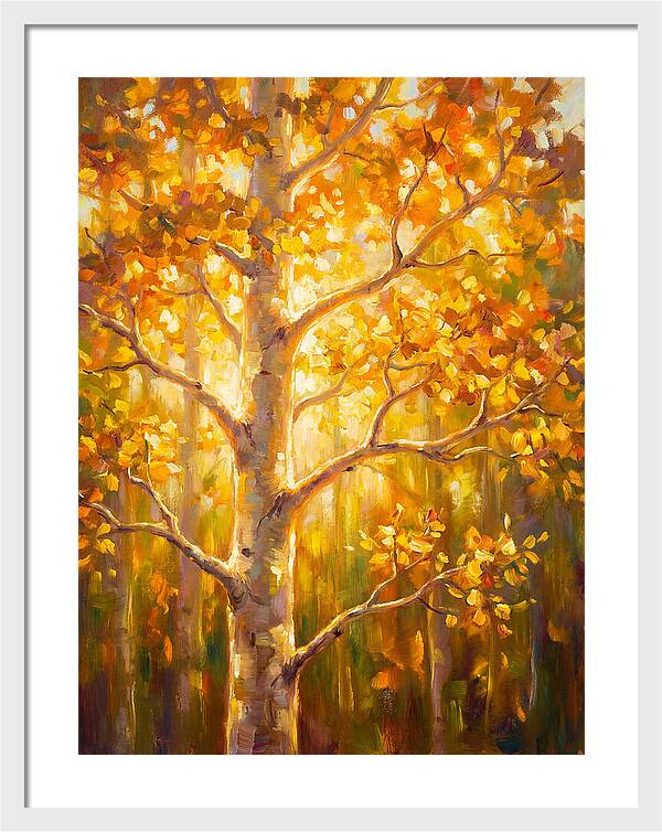 Aspen Tree