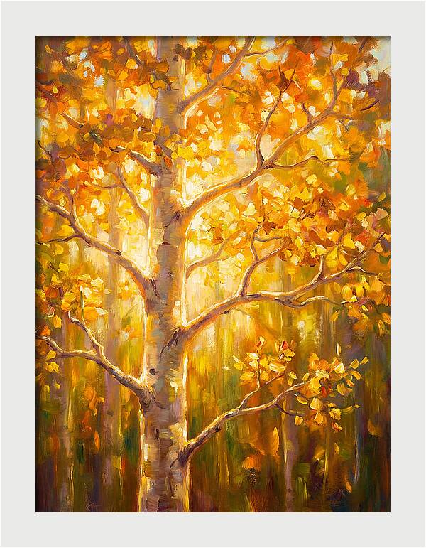 Aspen Tree