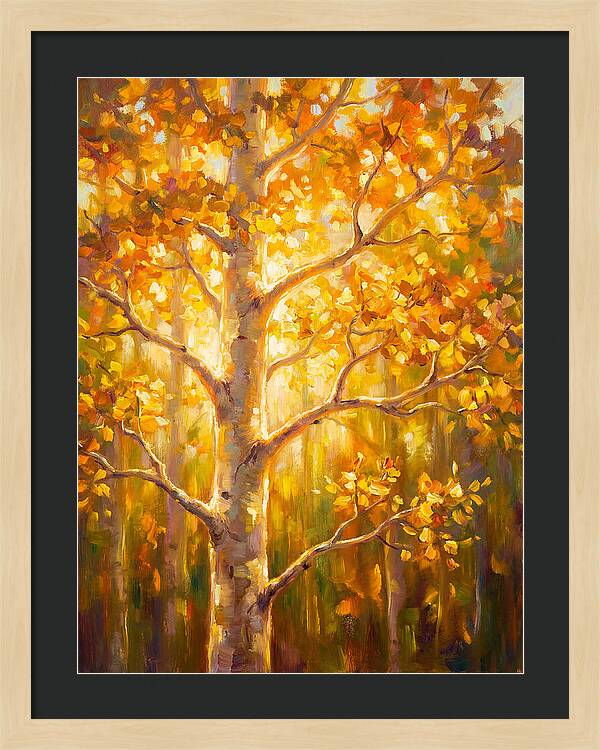 Aspen Tree
